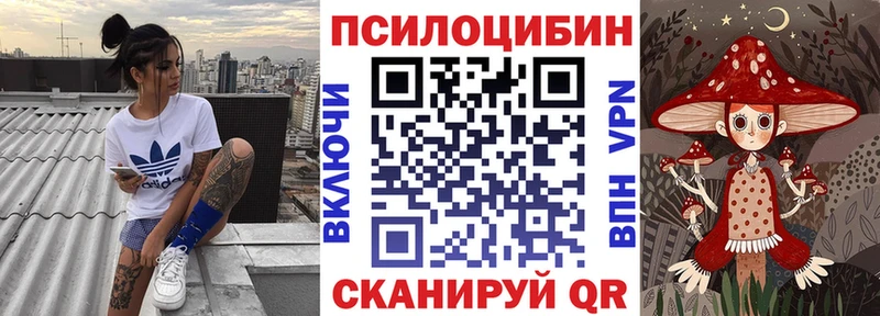 даркнет сайт  Чайковский  Псилоцибиновые грибы мицелий 