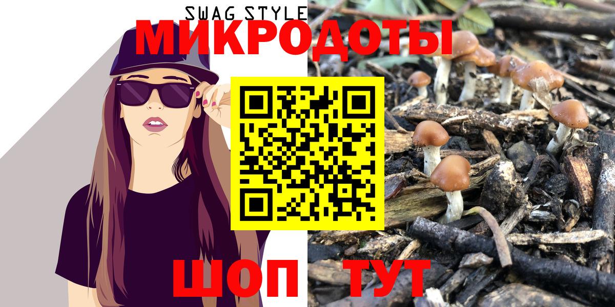 Галлюциногенные грибы Psilocybine cubensis Чайковский