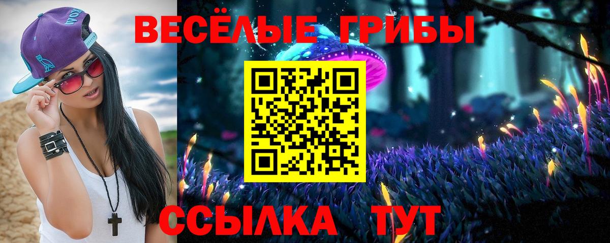 Псилоцибиновые грибы GOLDEN TEACHER  Чайковский  Галлюциногенные грибы прущие грибы 
